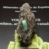 Berilo (variedad esmeralda)
30x60 mm
(Autor: Ignacio)