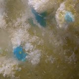 Mahnertita
Campo de visión de 1 mm.
(Autor: Antonio Carmona)