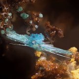 Spangolita, brochantita, paratacamita y calcoalumita
Campo de visión de 2 mm.
(Autor: Antonio Carmona)