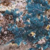 Espangolita
Campo de visión de 5 mm.
(Autor: Antonio Carmona)