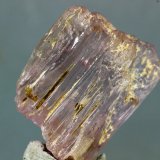 Espodumena (variedad kunzita)
30x20 mm
(Autor: Juan Espino)