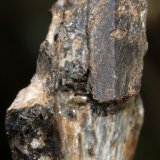 Estaurolita
68 x 45 x 21 mm.
(Autor: José Luis Zamora)