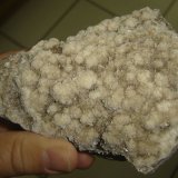 Stellerita
12 x 11 x 5 cm
(Autor: Anisio Claudio)