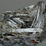 Estibina
38x25 mm
(Autor: Juan Espino)