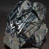 Estibina
75 x 65 mm
(Autor: Joaquin Blanco Cortina)