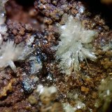 Montgomeryita
CV 4x3 mm
(Autor: Joan Niella)