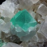 Fluorita
cristal 15mm
(Autor: Ramon A  Lopez Garcia)