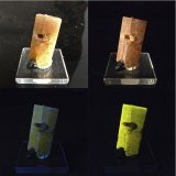 Fluorapatito
2.6 x 1.3 x 1.2 cm
(Autor: Josele)