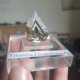Titanita
2,7 cm x 2,0 cm x 1,5 cm
(Autor: Vitor de Carvalho Maia)