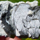 Ferberita
6 x 3,5 cm
(Autor: nerofis2)