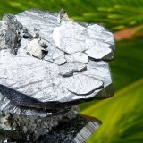 Ferberita
3,5 cm
(Autor: nerofis2)