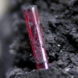 Proustita
Cristal 0.5 cm
(Autor: Cesar M. Salvan)