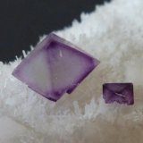 Fluorita, Cuarzo
12 x 7 cm. la pieza, 0,6 x 0,6 el cristal
(Autor: javier ruiz martin)