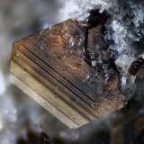 Flogopita
Campo de visión 1,8 mm
(Autor: Juan Miguel)