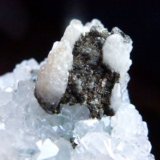 Fluorita, Cuarzo, Calcita, Pirita
5 x 4 cm.
(Autor: javier ruiz martin)
