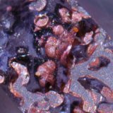 Fluorita, Hematites
detalle
(Autor: usoz)