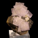 Fluorita, Siderita, Pirita
8,2 x 6,2 cm.
(Autor: carles)