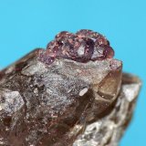 Fluorita
3 mm x 2 mm x 1,5 mm
(Autor: Javier MC)