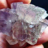 Fluorita, Pirita
5 x 4 cm.
(Autor: javier ruiz martin)