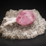 Fluorapatito con Albita y Moscovita
13.5 x 8.5 x 7 cm / cristal principal: 5.5 cm
(Autor: Museo MIM)