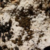 Fluorapatito y goethita pseudo siderita
5,5x4 cm
(Autor: Ander Ispizua Juan)