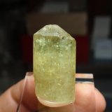 Fluorapatito
15x30 mm
(Autor: Ignacio)
