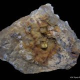Fluorita.
25x25 mm.
(Autor: Jesus Franquesa Baucells)