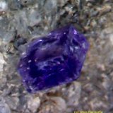 Fluorita.
0´516x0´328x0´267 mm
(Autor: Jesus Franquesa Baucells)
