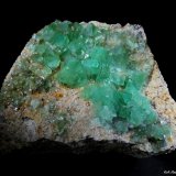 Fluorita.
80x65 mm.
(Autor: Jesus Franquesa Baucells)