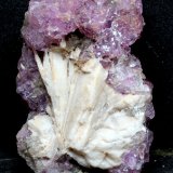 Fluorita
59 x 35 x 28 mm
(Autor: José Luis Zamora)
