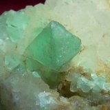 Fluorita y Cuarzo.
8 mm.
(Autor: Jesus Franquesa Baucells)