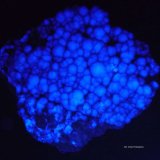 Fluorita.
80x65 mm.
(Autor: Jesus Franquesa Baucells)