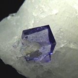 Fluorita y Celestina.
8x8 mm.
(Autor: Jesus Franquesa Baucells)