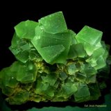 Fluorita.
150x120 mm.
(Autor: Jesus Franquesa Baucells)