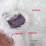 Fluorita.
0´380 x 0´256 x 0372 mm.
(Autor: Jesus Franquesa Baucells)