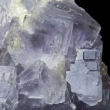 (Autor: El Coleccionista)