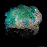 Fluorita.
85x77 mm.
(Autor: Jesus Franquesa Baucells)