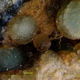 Fluorita.
6´072 x 4´539 mm.
(Autor: Jesus Franquesa Baucells)