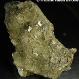 Fluorita, pirita
16 x 11 x 8 cm.
(Autor: Frederic Varela)