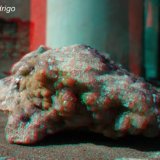 (Autor: Rodrigo Rod)