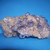 Fluorita
9,5 x 4 cm. (El cristal mayor mide 1cm.)
(Autor: Darío Menéndez)