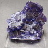 Fluorita
40x35 mm
(Autor: Ignacio)
