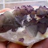 Fluorita
7 x 5 cm
(Autor: Cristalino)