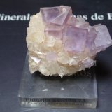 Fluorita
40x35 mm
(Autor: Ignacio)