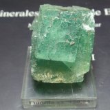 Fluorita
30x40 mm
(Autor: Ignacio)