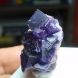Fluorita
15x25 mm
(Autor: Ignacio)