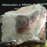 Fluorita
60x50 mm
(Autor: Ignacio)