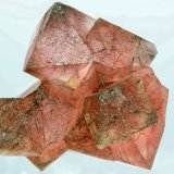 Fluorita
40x40 mm
(Autor: Ramon A  Lopez Garcia)