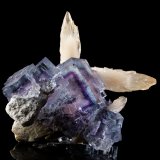 Fluorita, Calcita
6 x 7 x 8 cm / Cristal principal: 5.1 cm.
(Autor: Museo MIM)