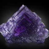 Fluorita
7.5 x 12.5 x 14.5 cm / Cristal principal: 6.2 cm
(Autor: Museo MIM)